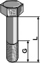 Kreiseleggenzinkenschraube